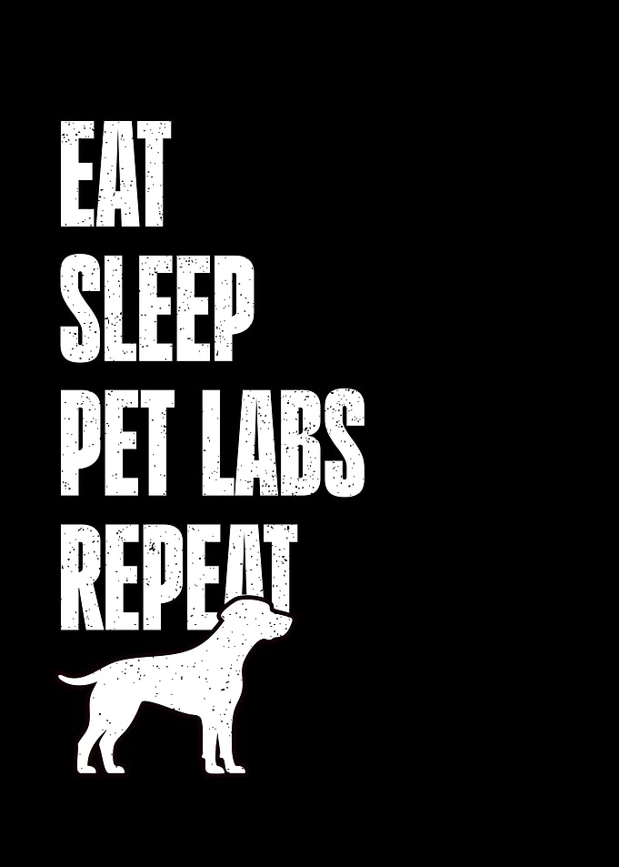 Labrador Dog Lover Quote