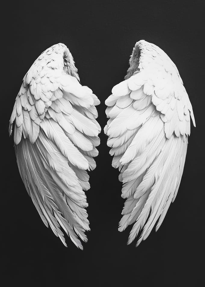 White Angel Wings