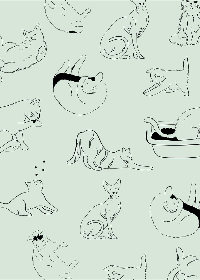 Cat Pattern Illustration