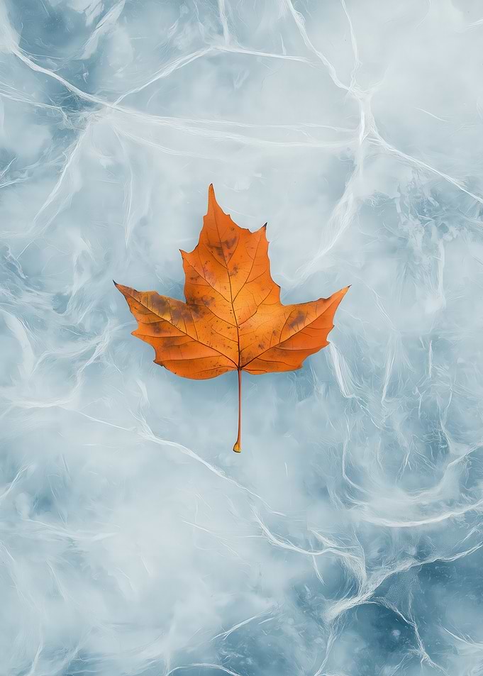 Autumn Leaf On Ice