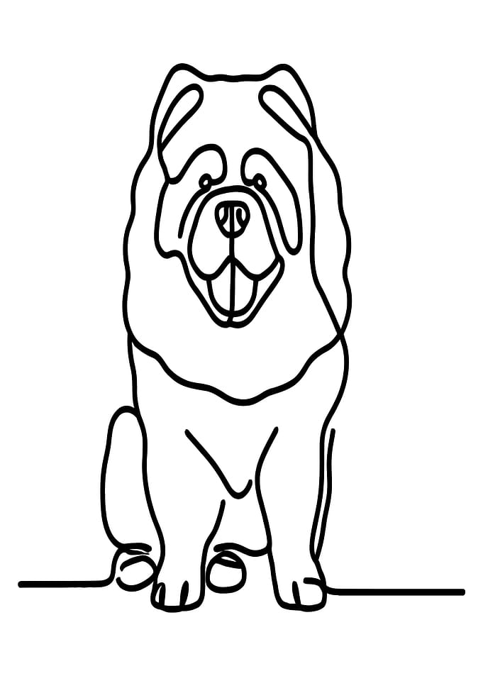 Chow Chow Line Art