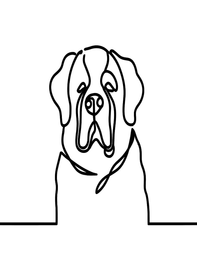 Dog Line Art