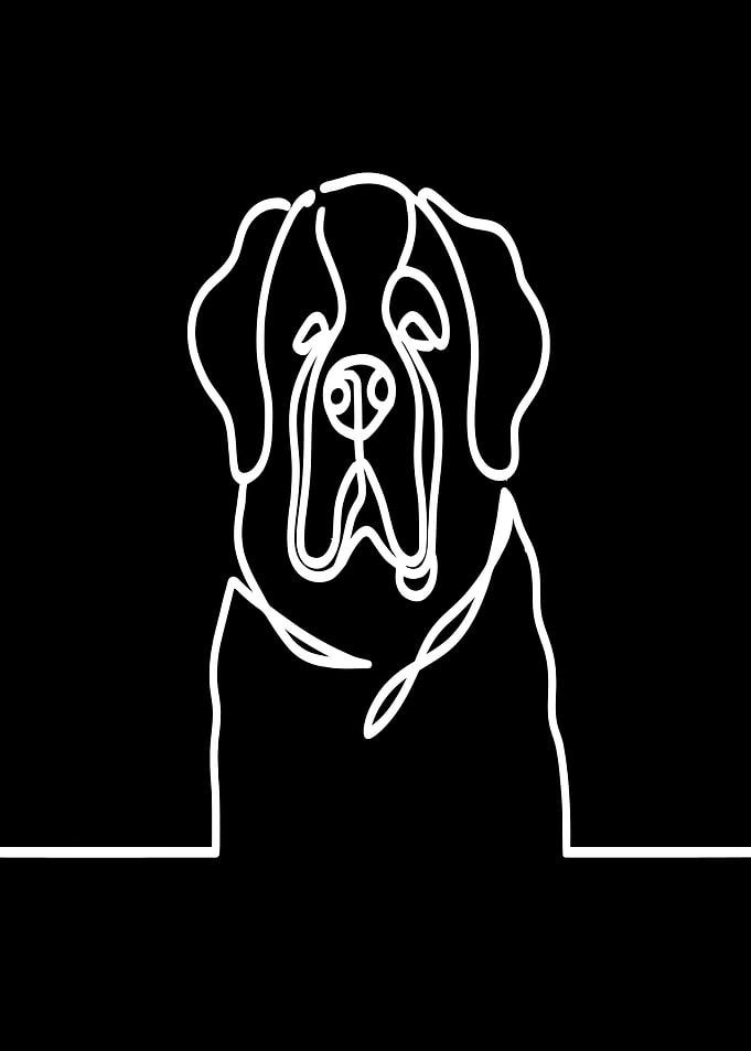 Line Art Dog Portrait