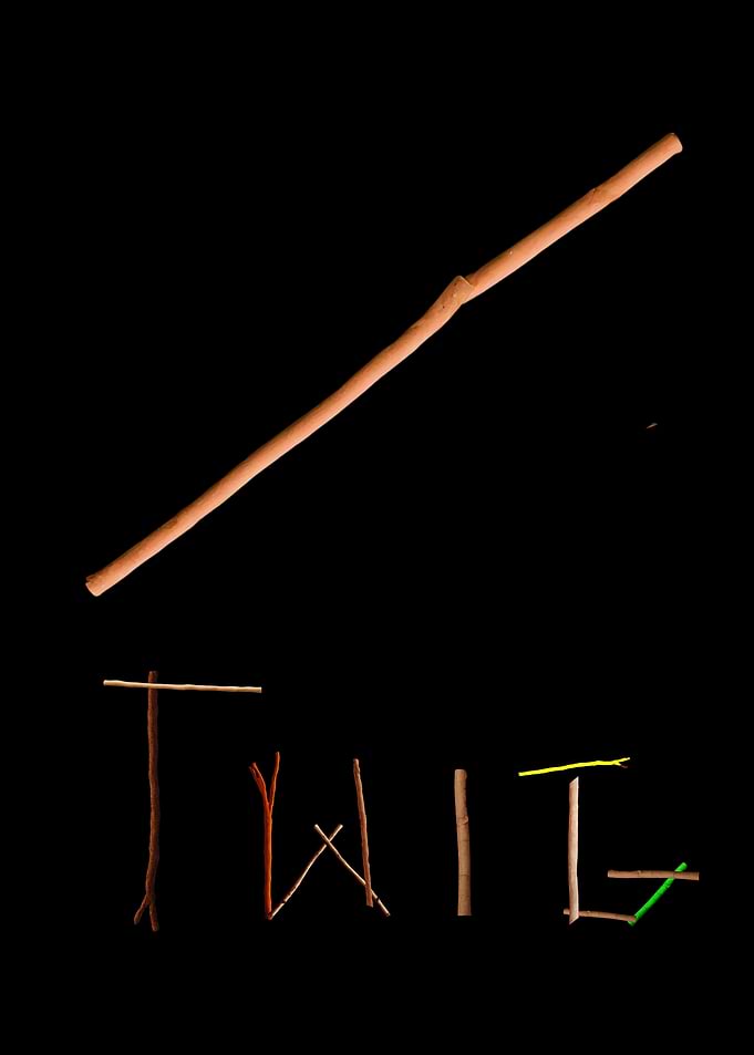 Twig Art - TWIG