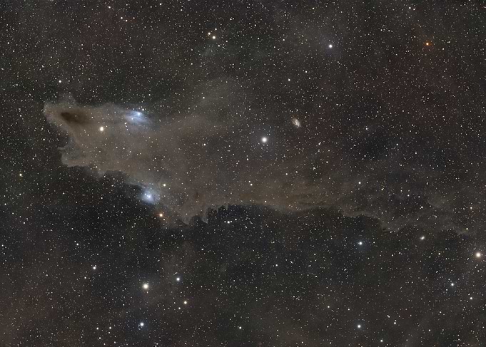 Dark Shark Nebula