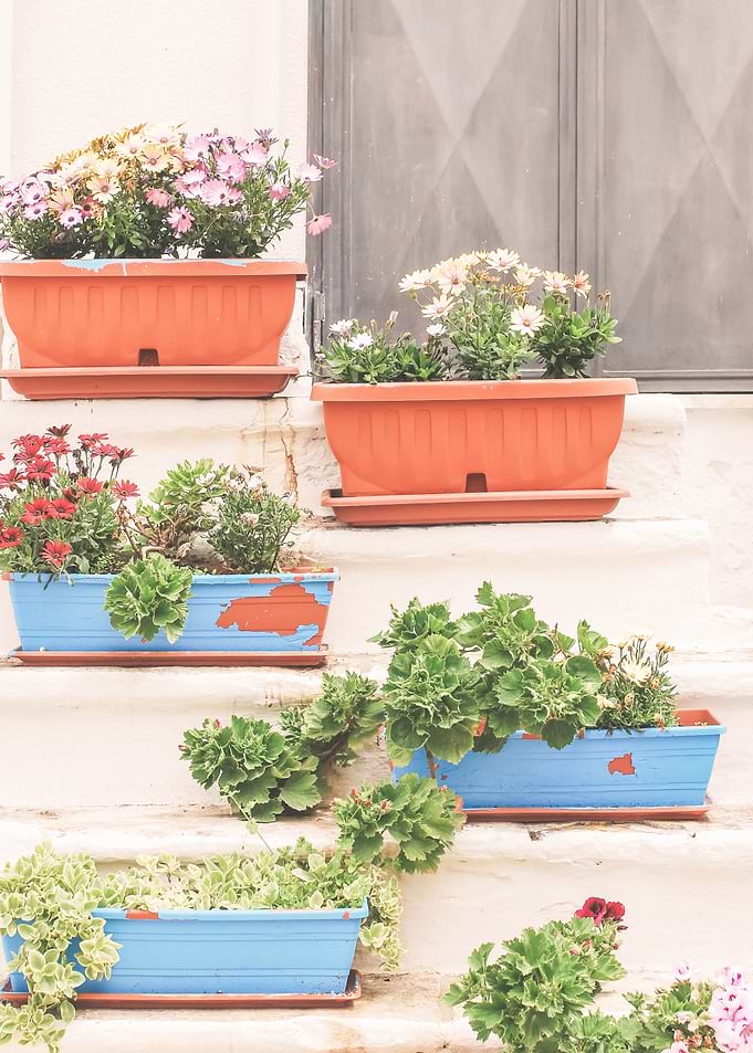 Puglia, Italy I Colorful flower staircase in a pastel summer aesthetic italian countryside village with a minimalist geometric retro vintage photography composition for living dolce vita in Tuscany