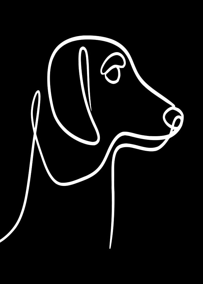 Dachshund Dog Line Art