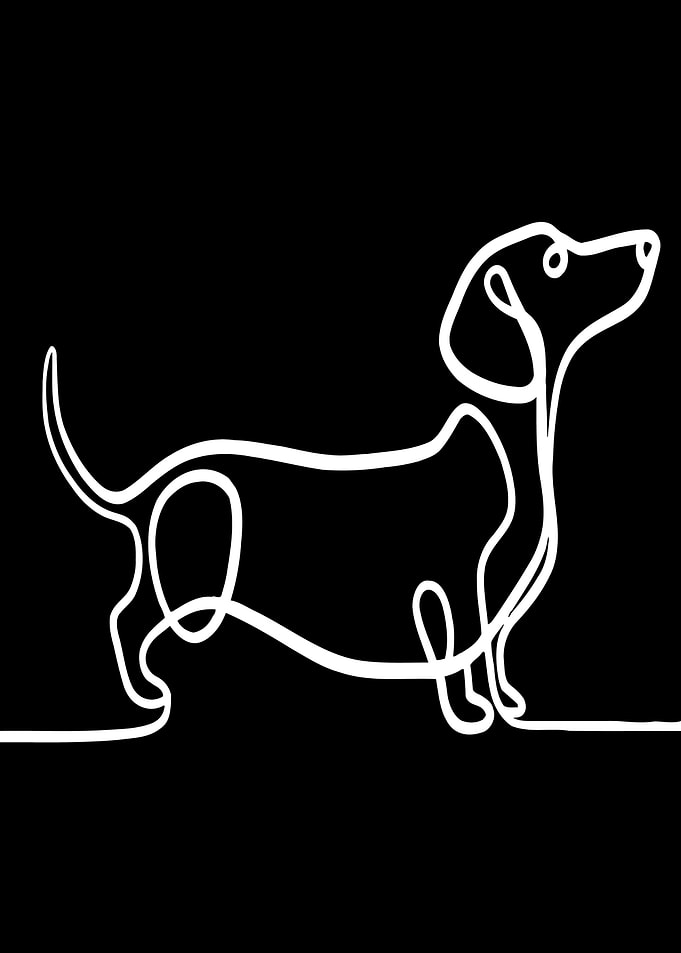 Dachshund Line Art