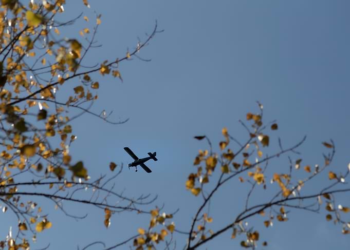 Small Plane in Blue Sky