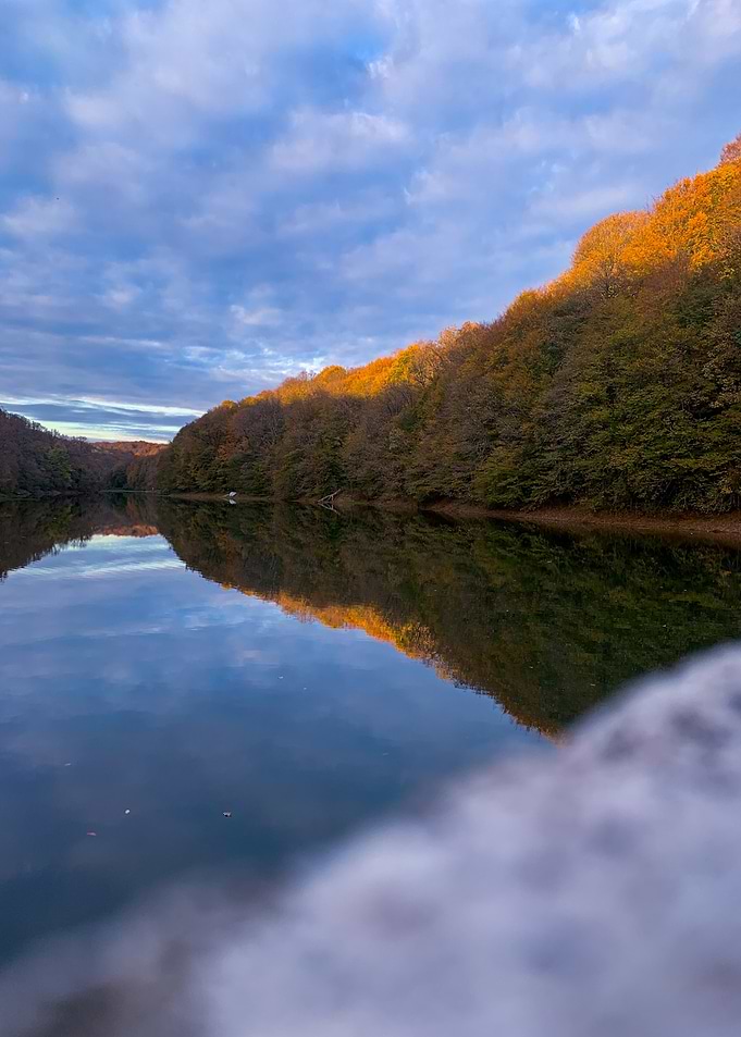 Autumn Reflections