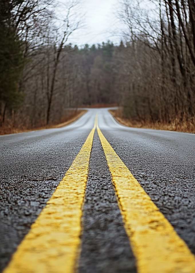 Empty Road Through Woods