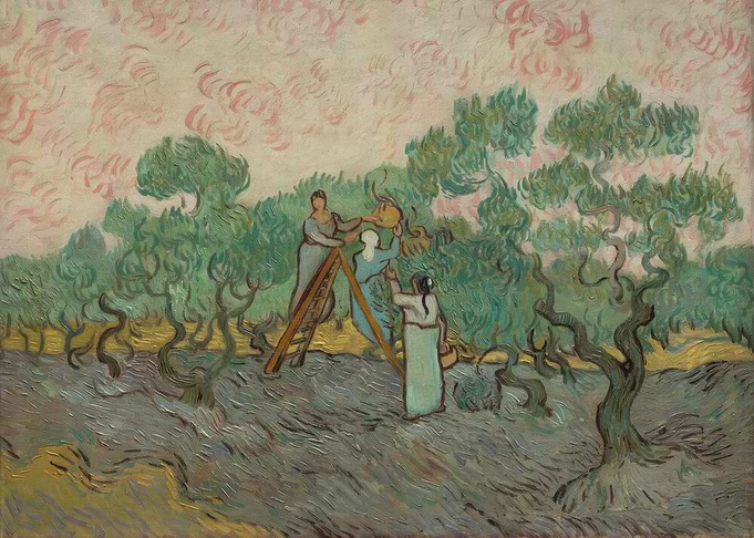 Olive Harvest Painting