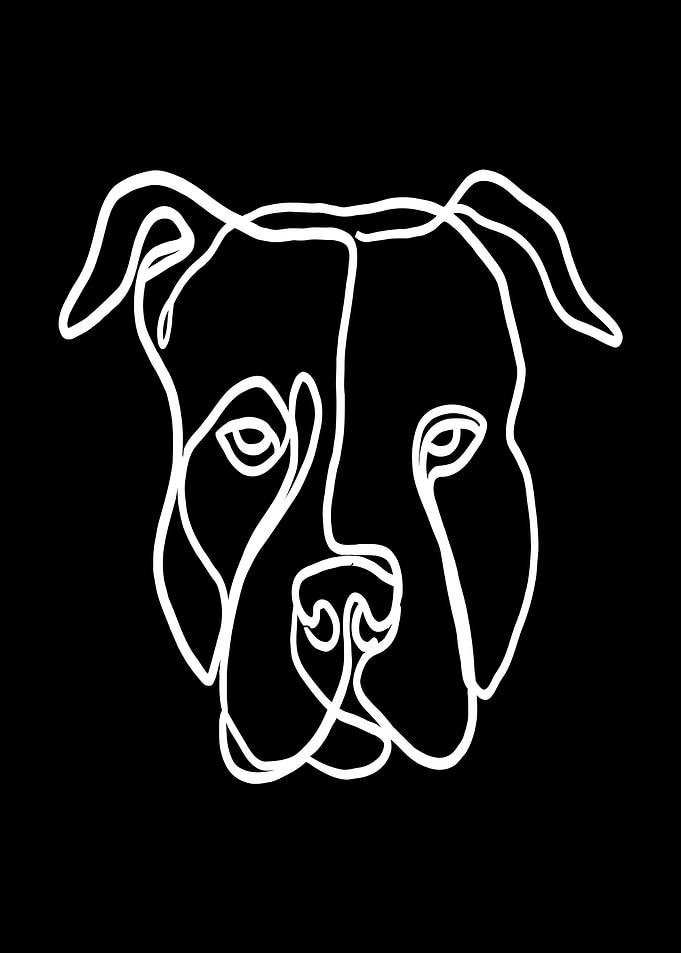 Pitbull Line Art