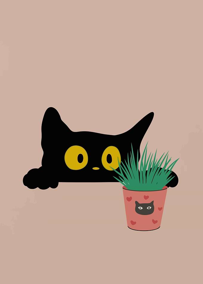 Curious Cat and Plant