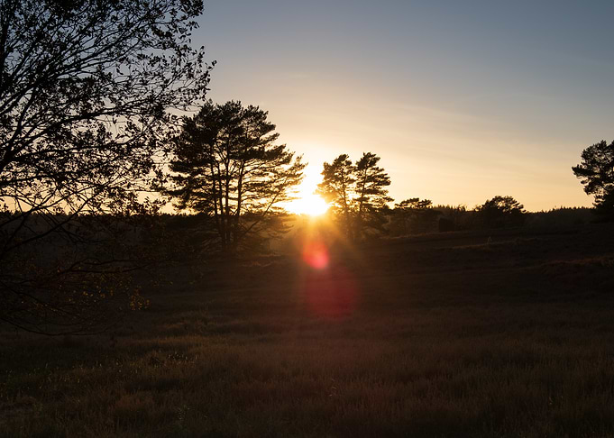 Sunset Silhouette