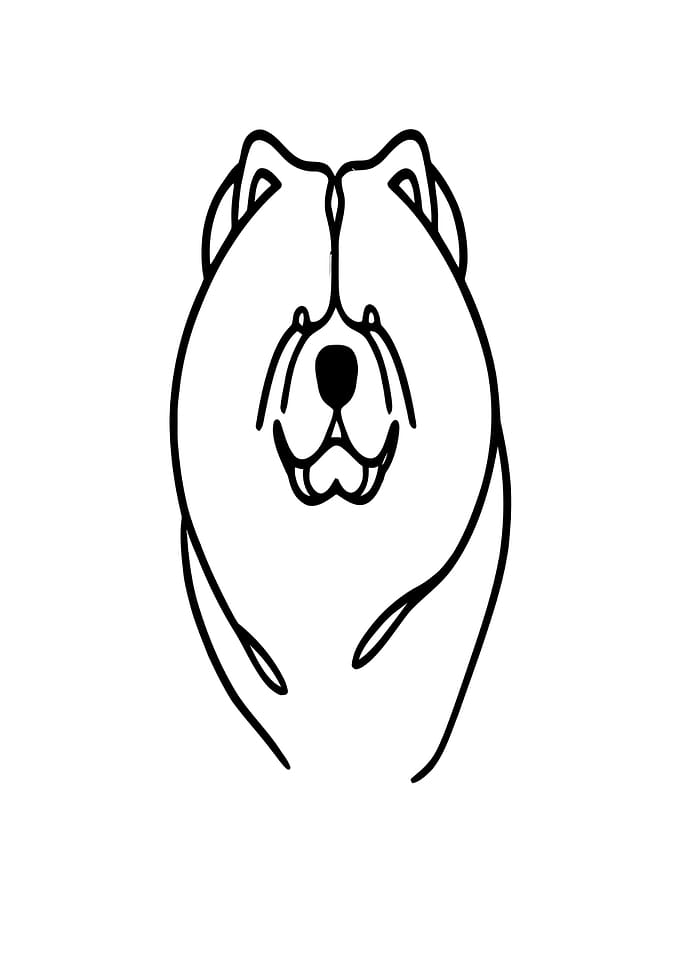 Chow Chow Line Art