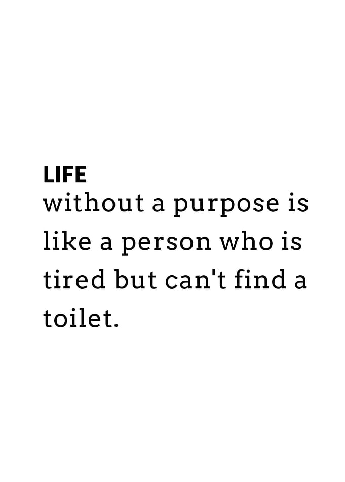 Life Without Purpose Quote