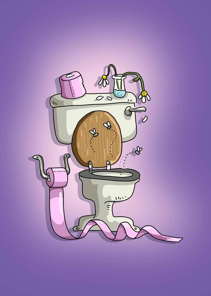 funny old Toilet Trouble