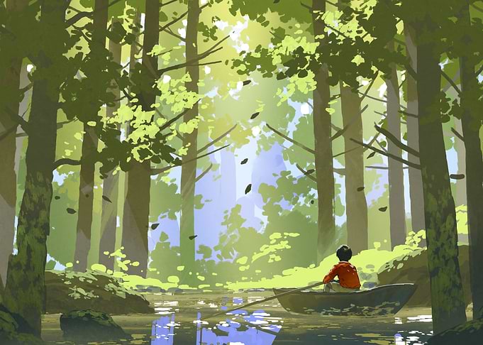 Into the Forest