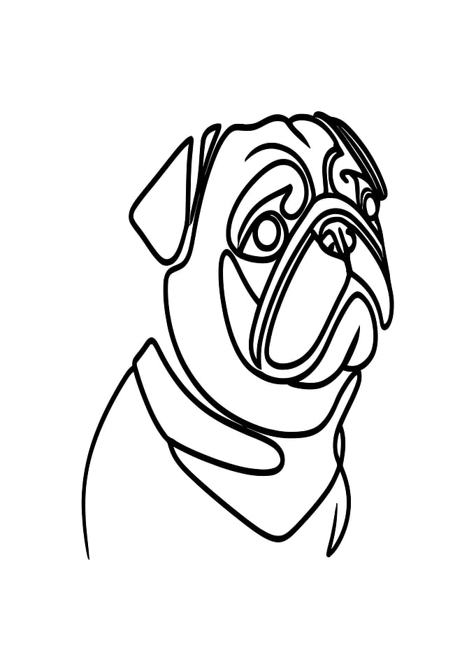 Pug Line Art