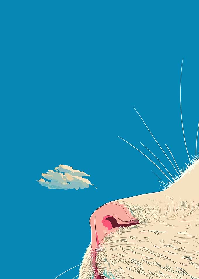 Cat Nose and Sky