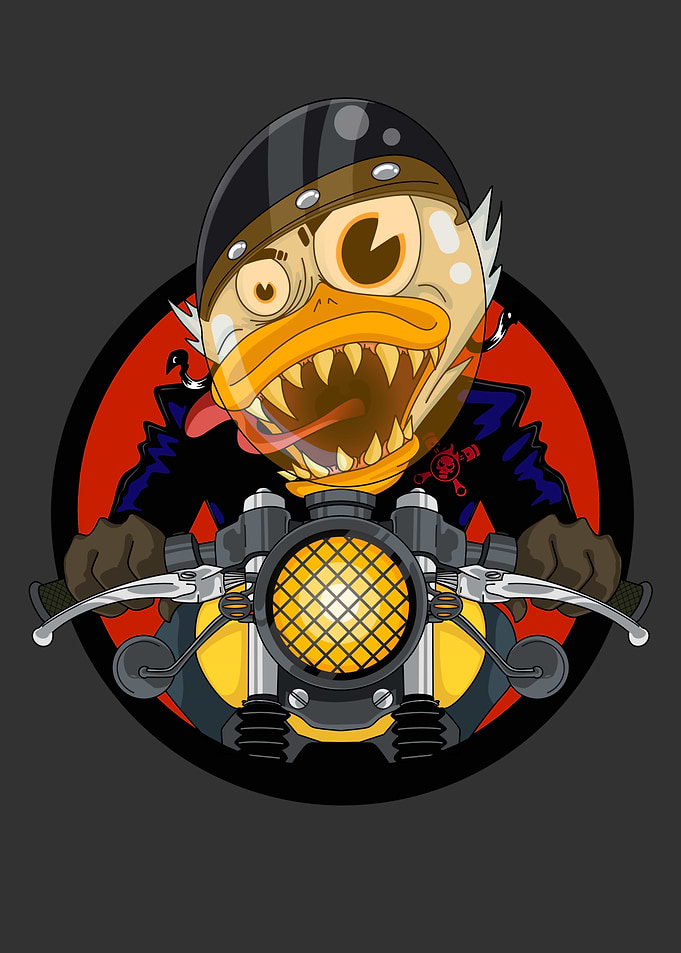 Crazy duck Rider