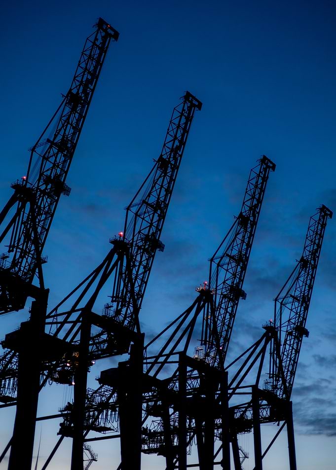 Silhouetted Cranes at Dusk
