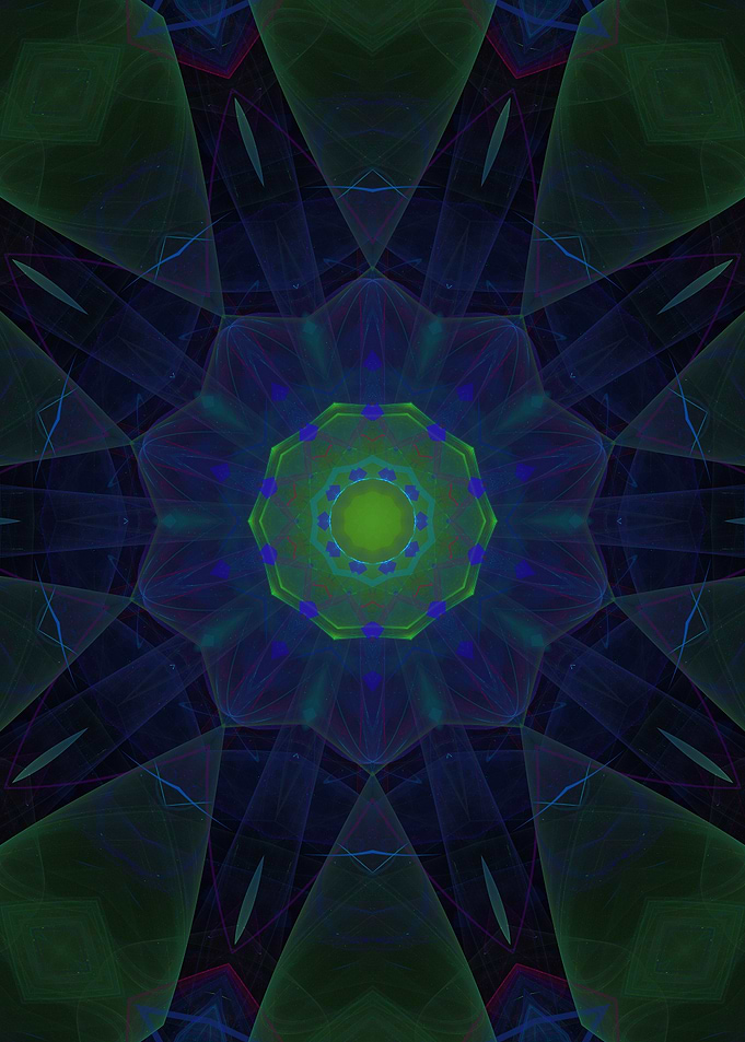 The Flower In the Web