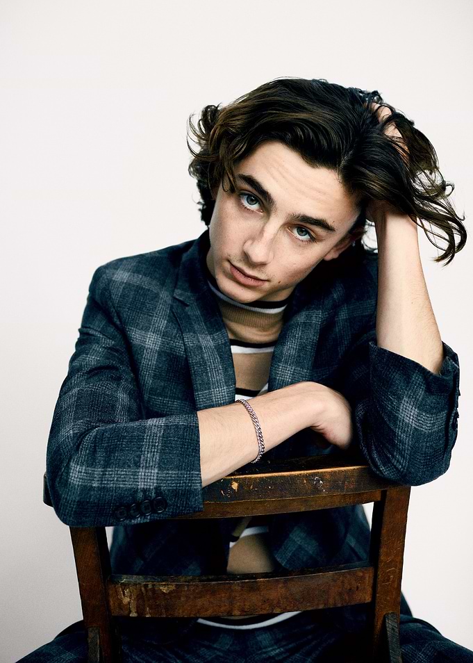 Timothée Chalamet Portrait