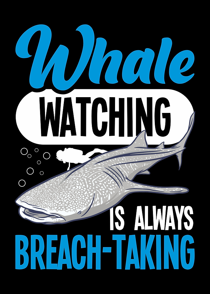 Whale Watching Graphic