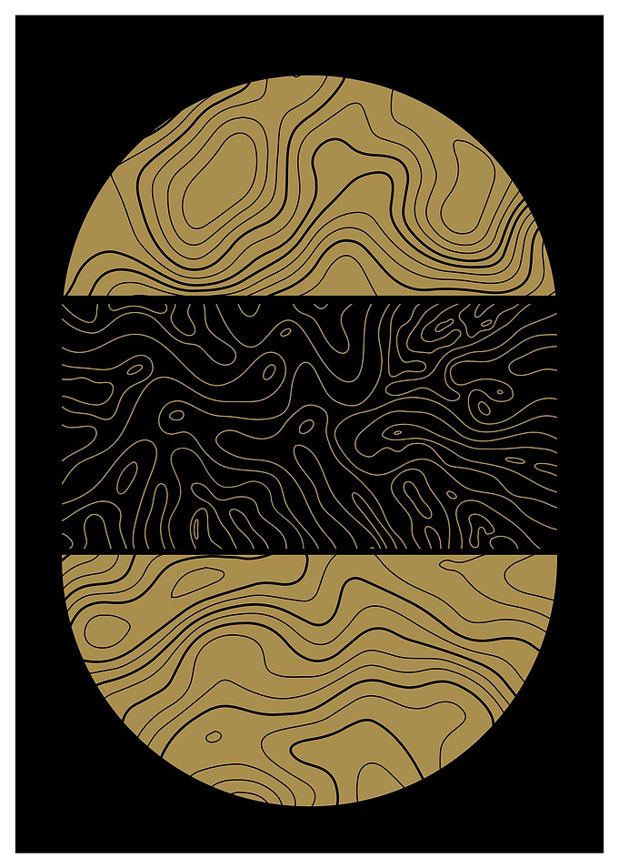 Abstract Topographic Art