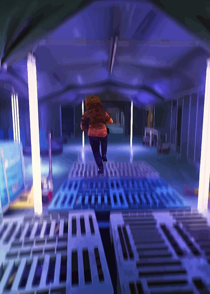 Labs' Run