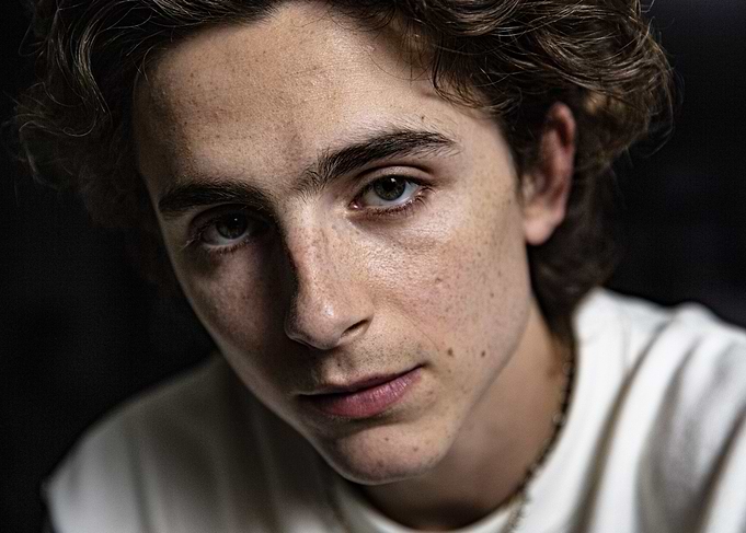 Timothée Chalamet Portrait