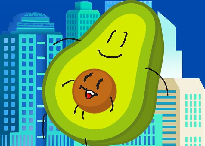 Avocado City
