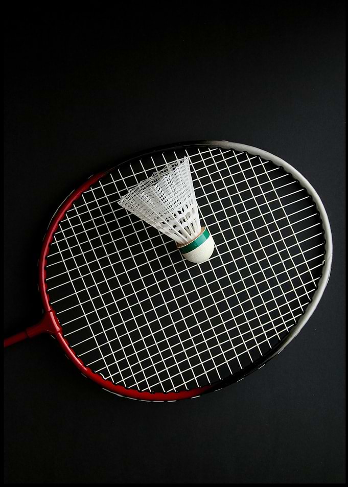 Professional Badminton Player Zone