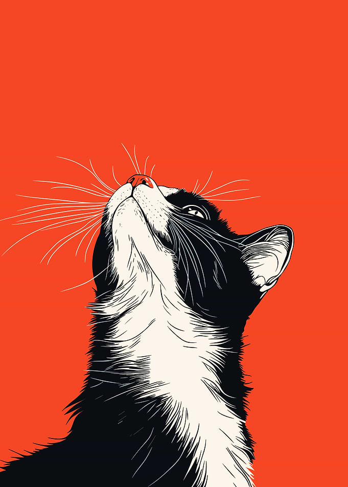 Black and White Cat Portrait