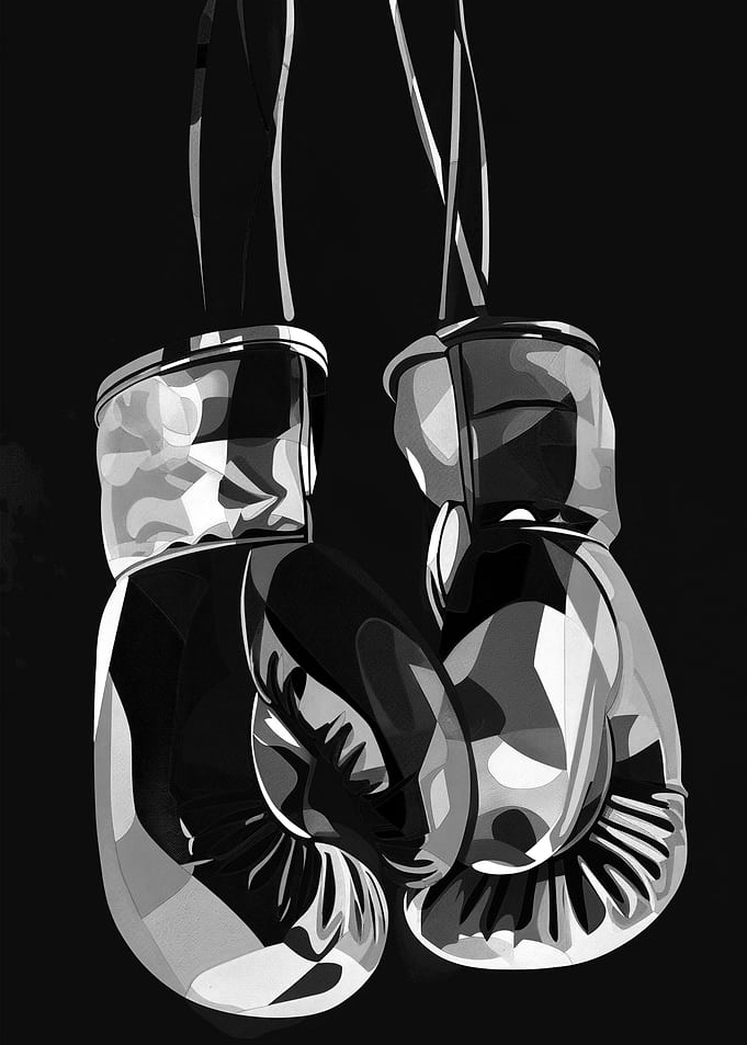Boxing Gloves