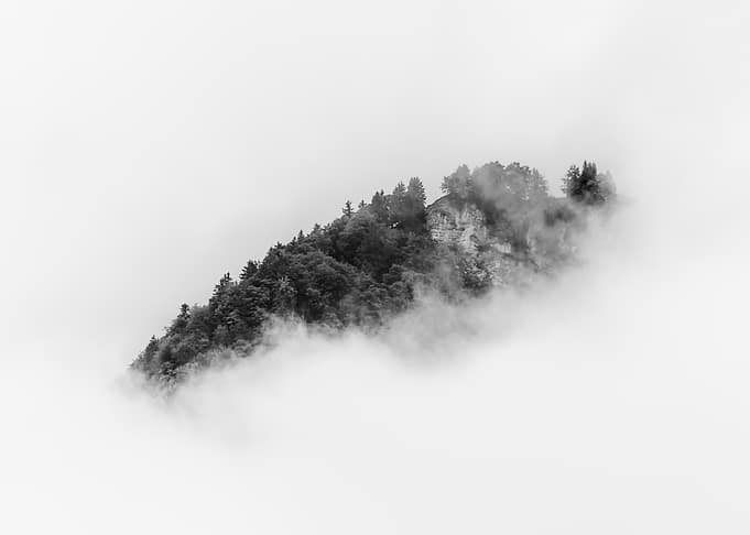 Mountain Forest in the Clouds - Minimalist Black and white Landscape Photography