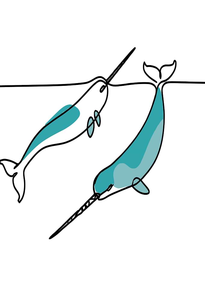 Two Narwhals Line Art