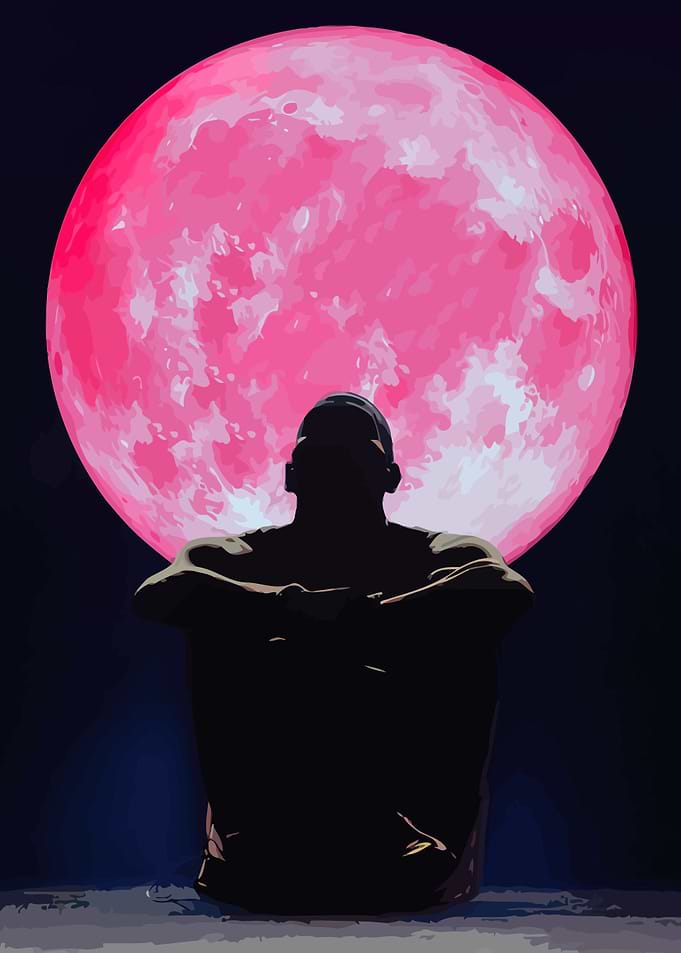 Silhouette Under Pink Moon