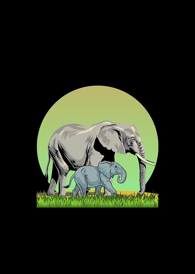 Experience Africa