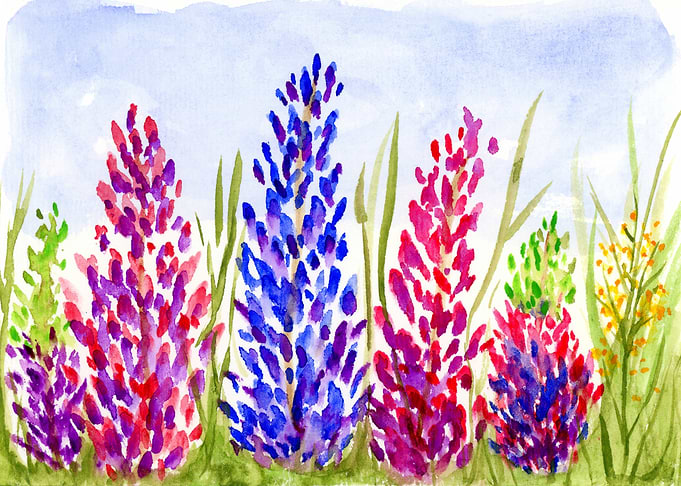 Watercolor Lupine Wildflowers