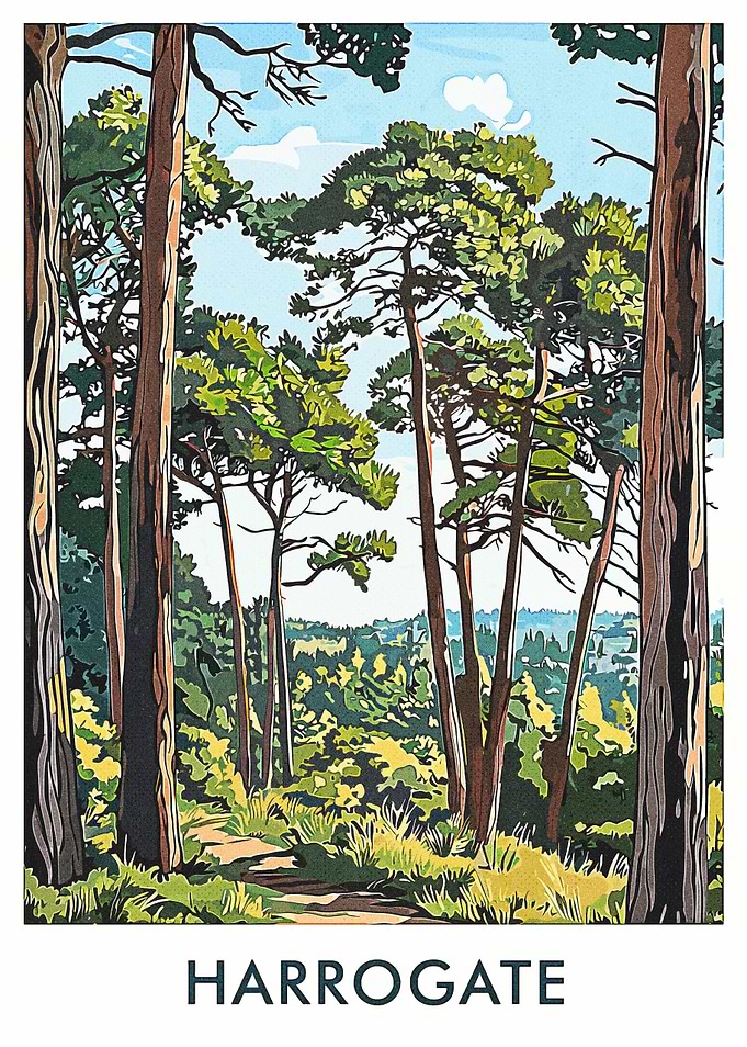 Harrogate Forest Path