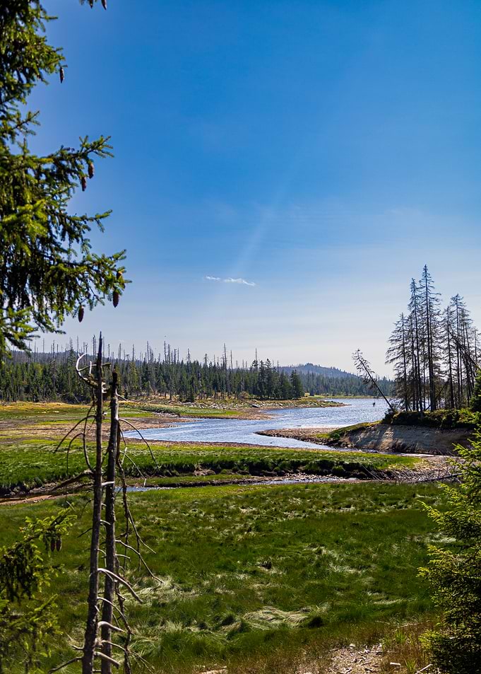 Serene Lake in Harz national park Forest