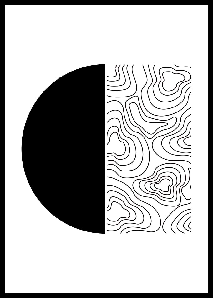 Abstract Black and White Art