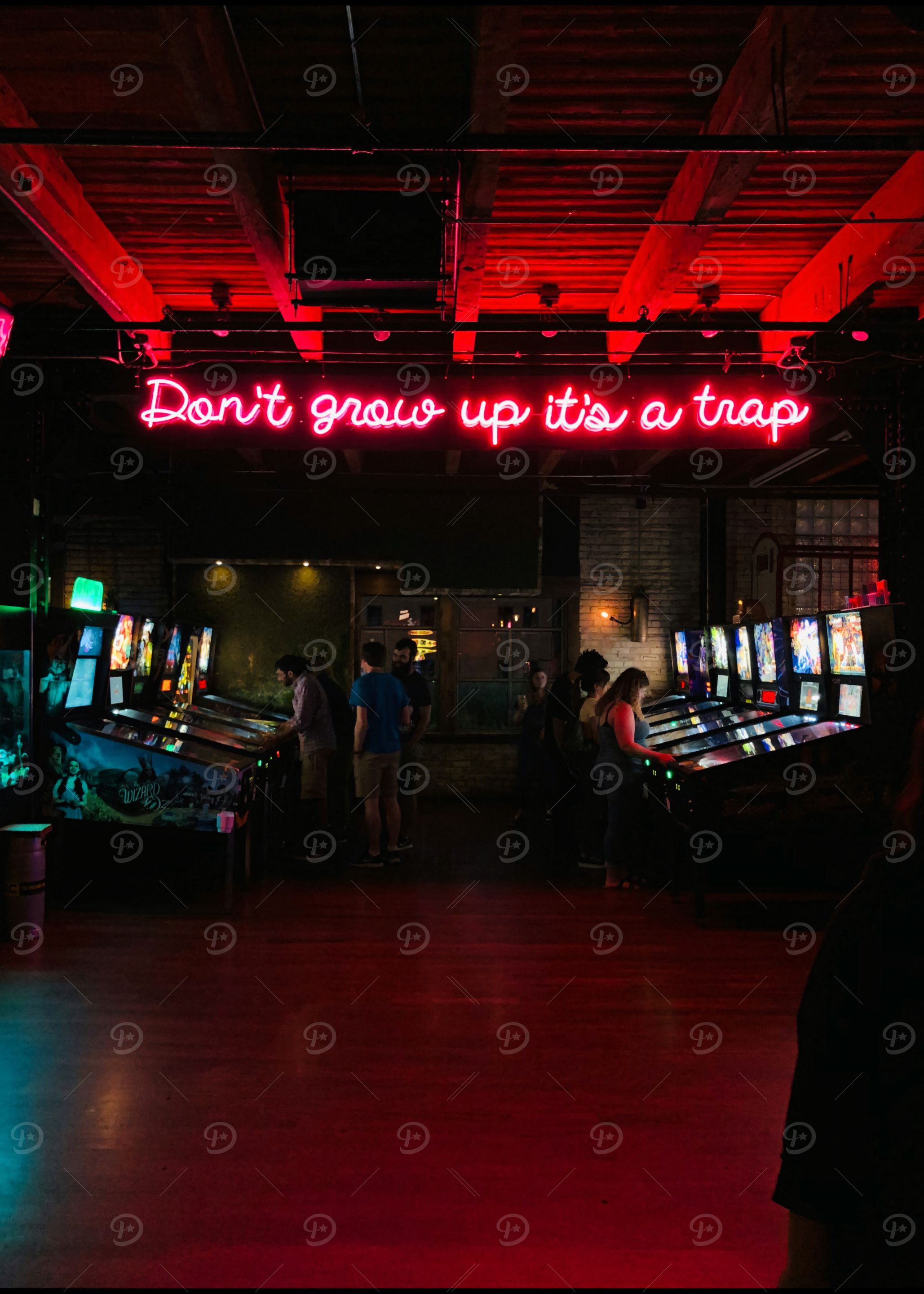 Funny Pun Don't Grow Up It's A Trap