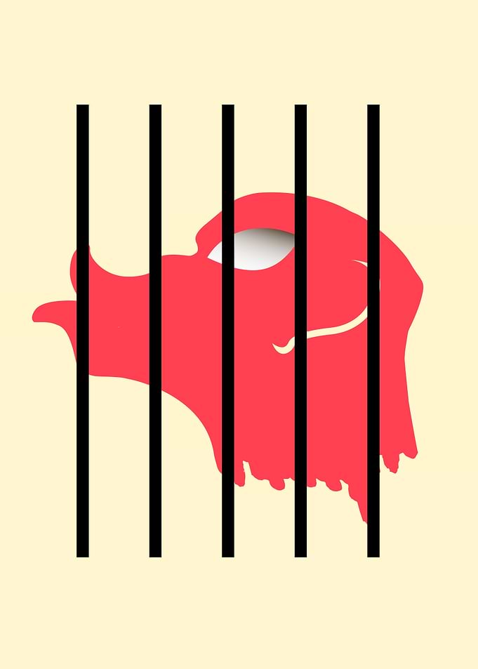 FREEDOM AFTER SPEECH