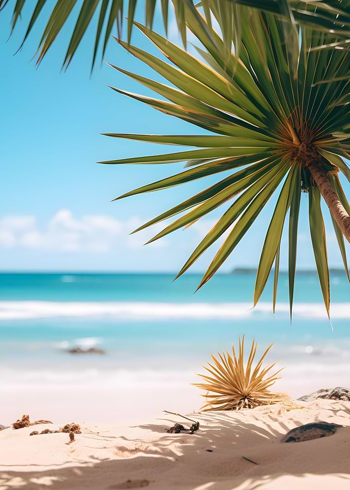 Tropical Beach View