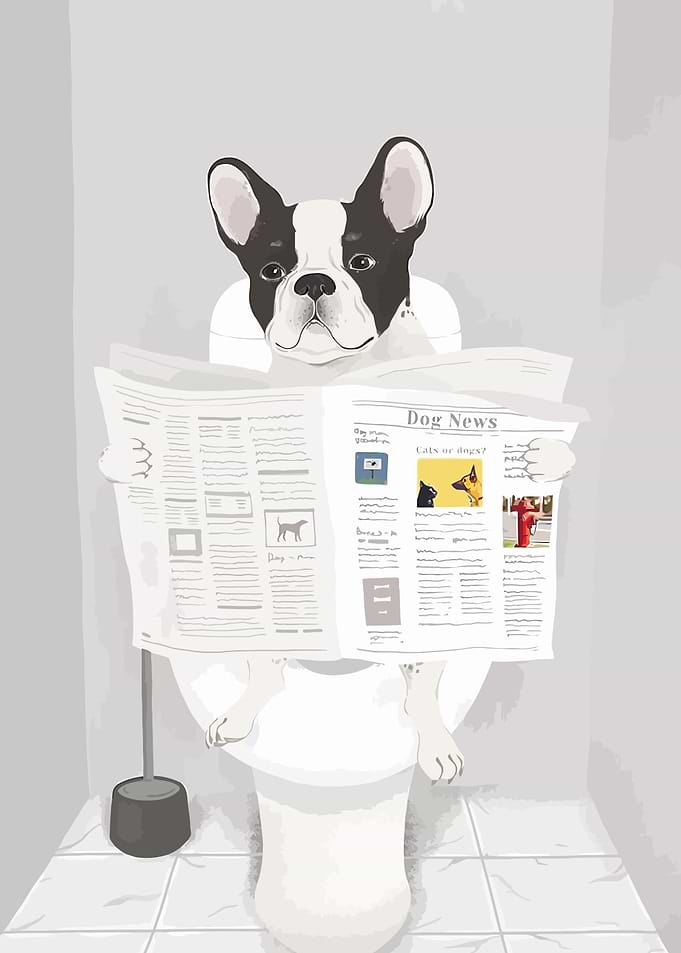 Dog Reading Dog News