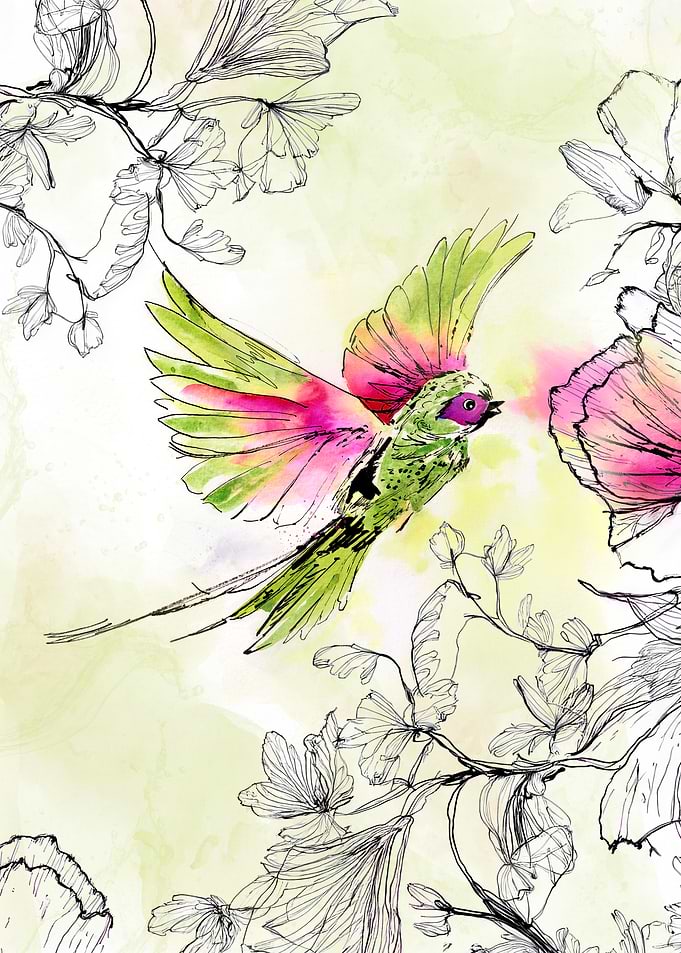 A bird bringing color to the flowers